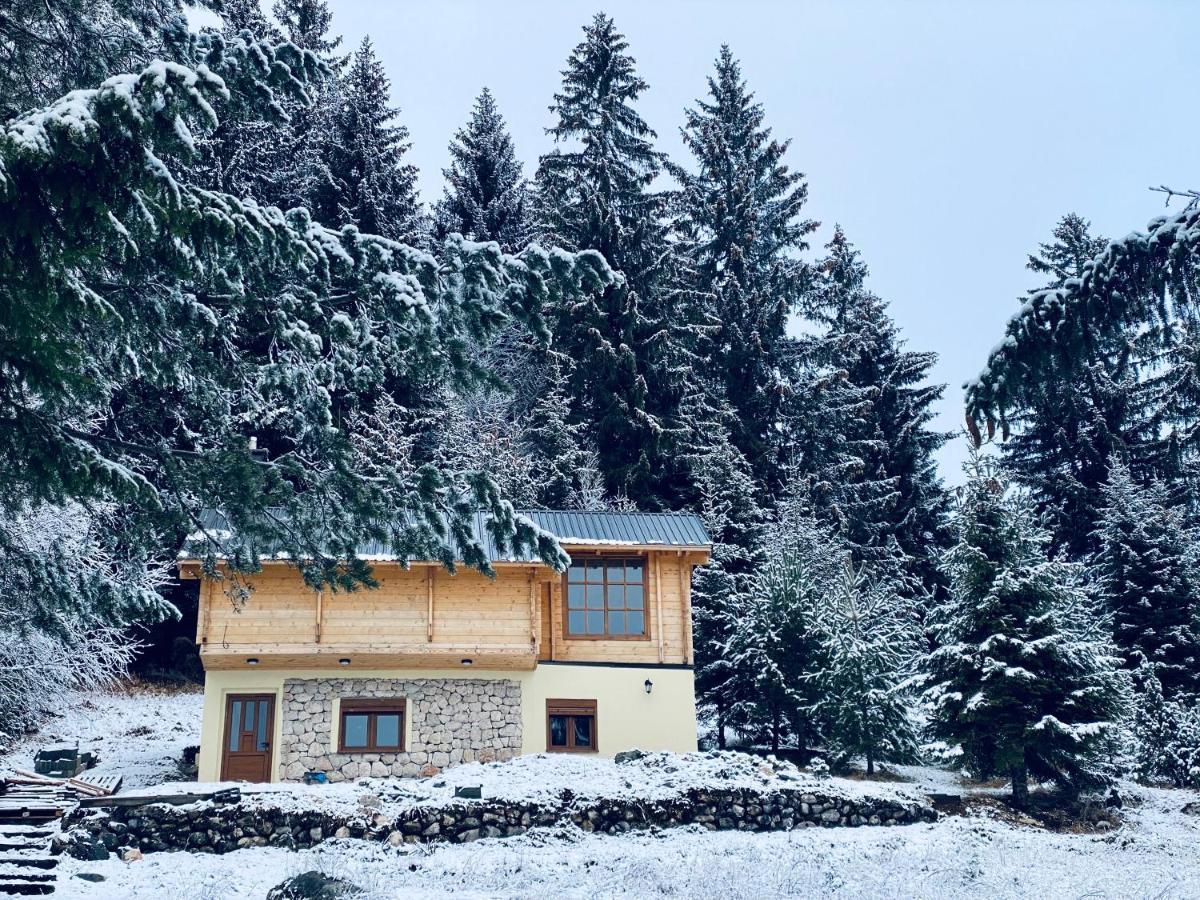 Magia Di Montagna Žabljak Exterior foto