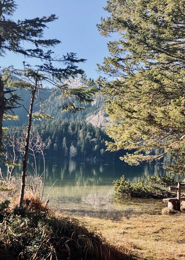 Magia Di Montagna Žabljak Exterior foto